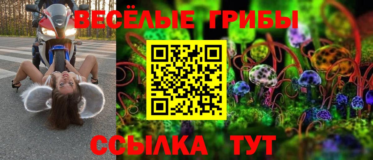 купить  цена  Псилоцибиновые грибы мицелий  Галлюциногенные грибы GOLDEN TEACHER  Вход с VPN  Сафоново 