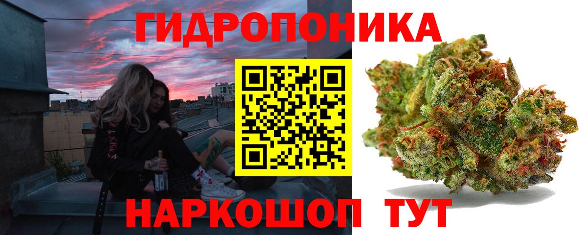 Конопля ГИДРОПОН  Вход с VPN  Бошки Шишки ГИДРОПОН  Сафоново  Каннабис сатива  Конопля ГИДРОПОН 